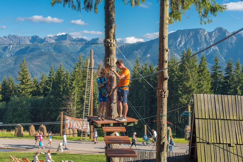 An outdoor adventure course with a rope bridge and wooden platforms, set against a backdrop of mountains and trees. 1