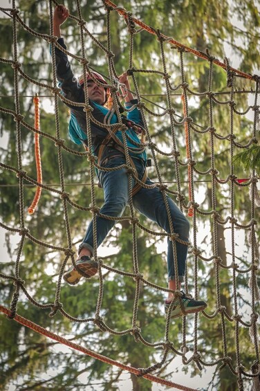 A person navigating a rope course in a forested area. 2