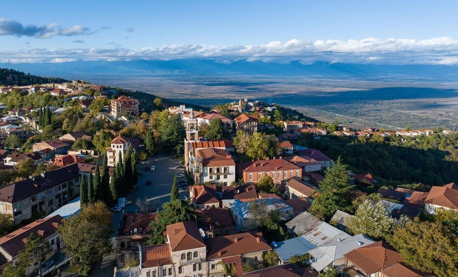 A town with historic buildings, a prominent church, and a view of distant mountains. 2