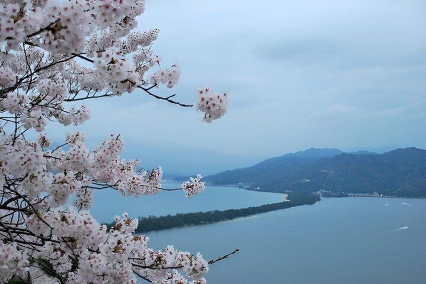 Tango Sea Train and Amanohashidate Cable Car and Ine Boat Tour 5