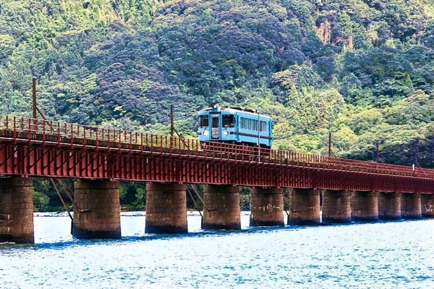 A blue train on a red bridge over water, surrounded by dense forest. 3