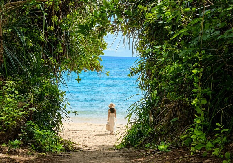A pathway leading to a beach with dense foliage on either side. 1