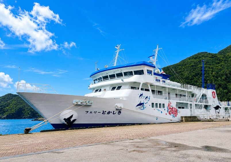 A large white and blue ferry docked at a pier with a mountainous backdrop. 5