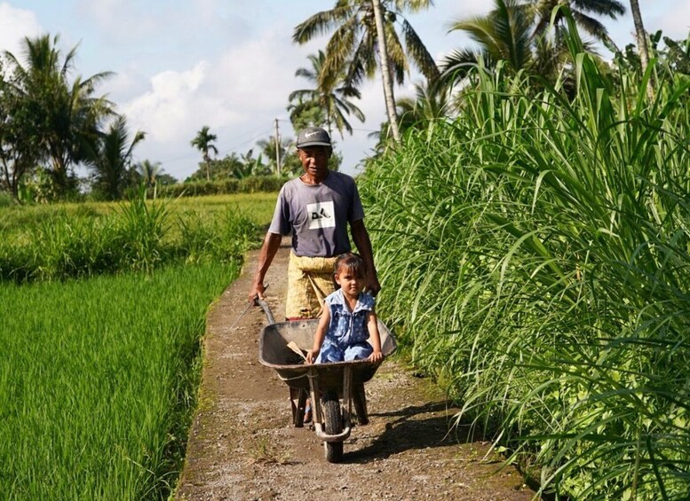 A man and a child in a rural setting, walking along a path with a wheelbarrow. 4