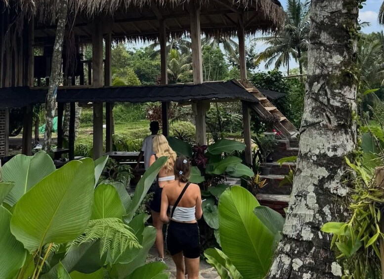 A covered outdoor area with a thatched roof, surrounded by lush tropical vegetation. 2
