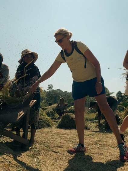 A person in a yellow shirt and blue shorts working with hay bales in an outdoor setting. 3