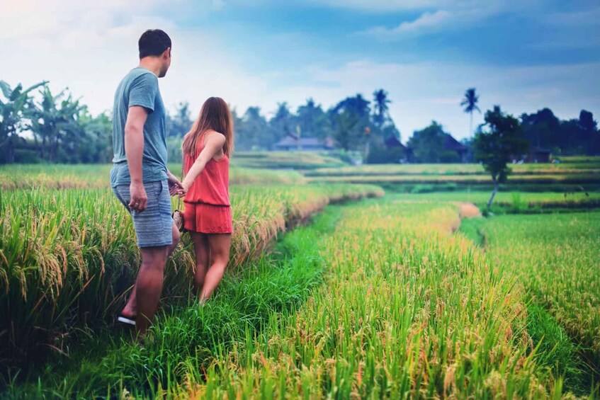 A couple walking through a rice field with a rural landscape in the background. 1