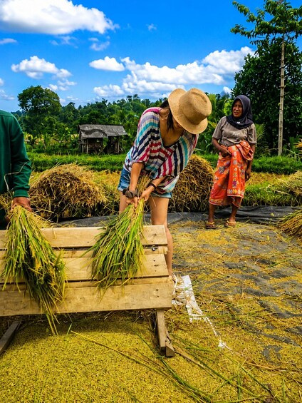 Picture 10 for Activity The Real Lombok: Heritage, Nature & A Taste of Tradition 2