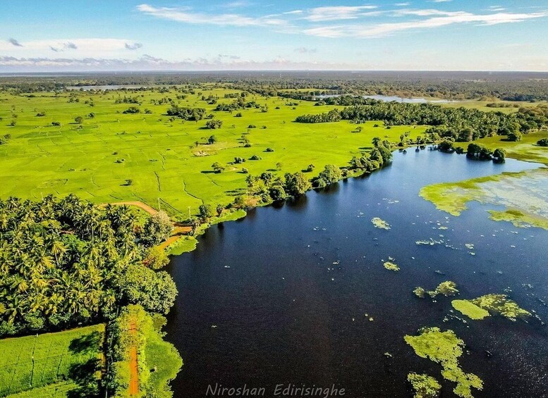 A river meandering through a lush green landscape with scattered trees and open fields. 5