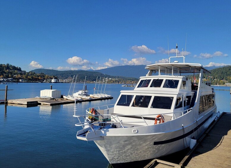 A white boat docked at a pier with a clear blue sky and mountains in the background. 3