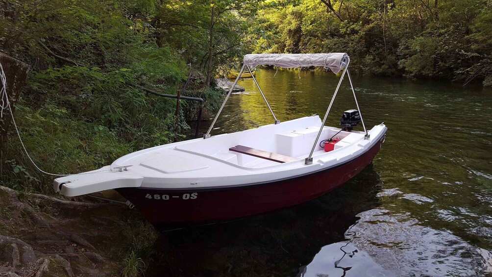 A small motorboat with a canopy, docked at a riverbank surrounded by dense greenery. 1