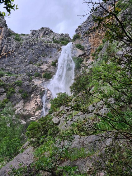 A waterfall cascading down a rocky cliff surrounded by lush greenery. 5