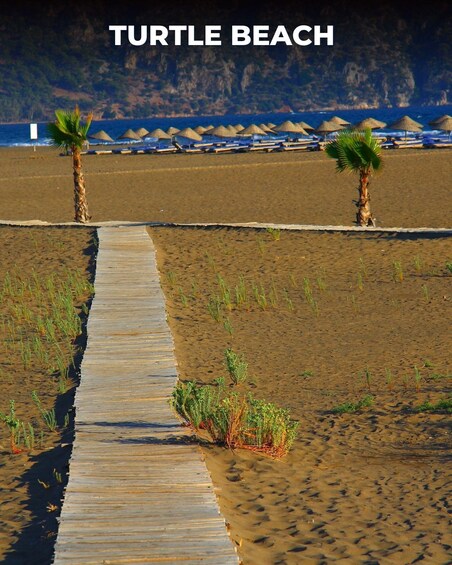 A wooden boardwalk leading to a beach with palm trees and thatched umbrellas. 5