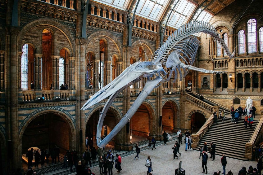 A large skeleton exhibit in a grand, arched building with people observing. 1