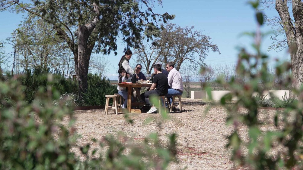 A group of people seated around a wooden table outdoors, with trees and a clear sky in the background. 3