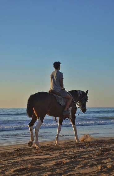 A person riding a horse along a beach with the ocean in the background. 2