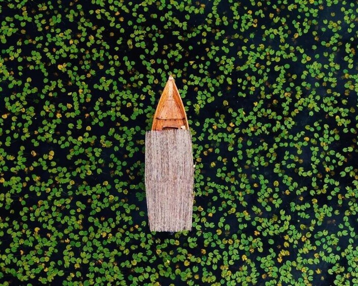 A wooden structure with a pointed top, surrounded by small green plants. 5
