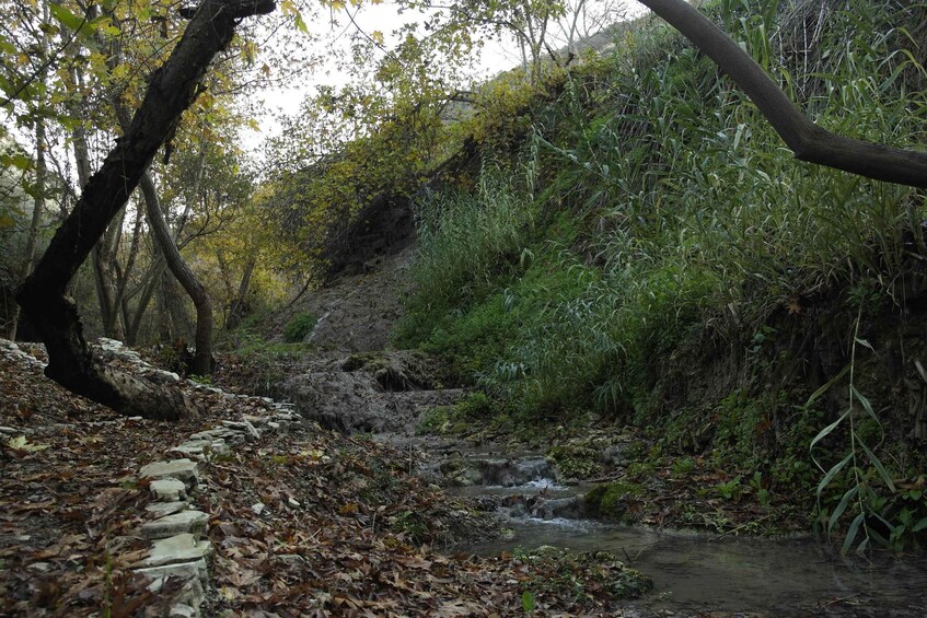 Picture 9 for Activity Cyprus: Paradision Waterfall Hike in a Hidden Gorge 3