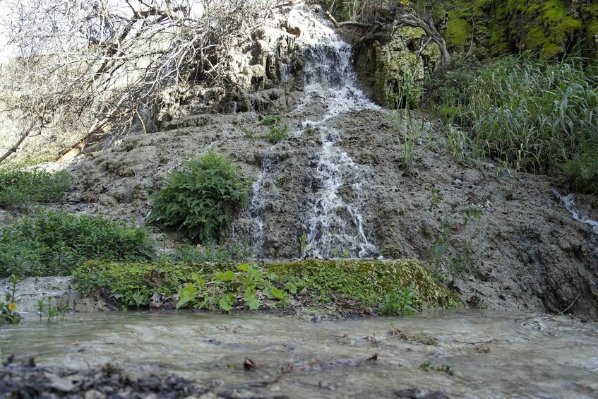 Picture 7 for Activity Cyprus: Paradision Waterfall Hike in a Hidden Gorge 5