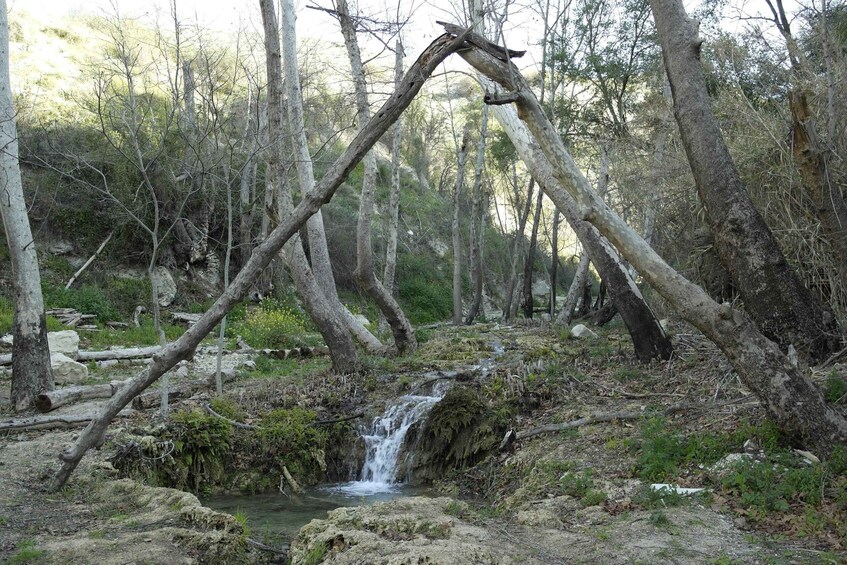 Cyprus: Paradision Waterfall Hike in a Hidden Gorge 1