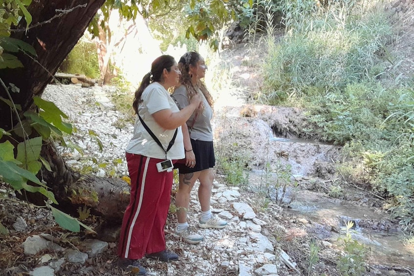 Cyprus: Paradision Waterfall Hike in a Hidden Gorge 2