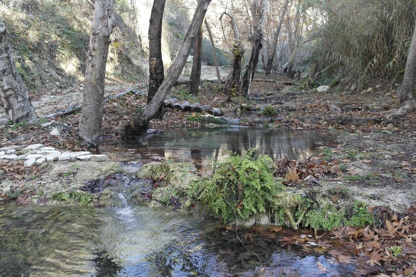 Picture 10 for Activity Cyprus: Paradision Waterfall Hike in a Hidden Gorge 5