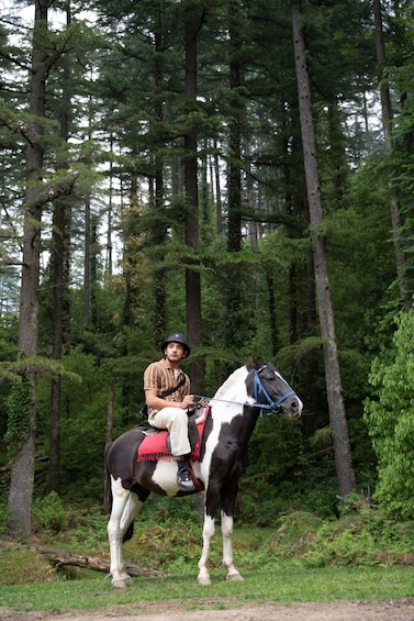 Easton: Guided Horseback Trail Ride in Private Forest 1
