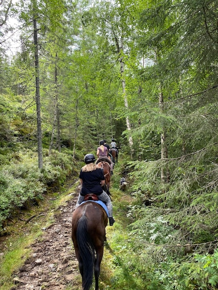 A group of people horseback riding through a forested trail. 5