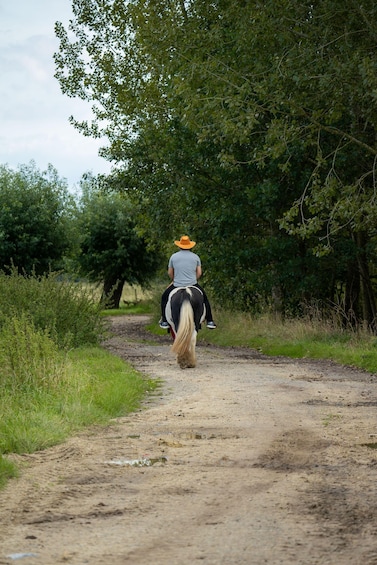 A person riding a horse on a dirt path surrounded by greenery. 2