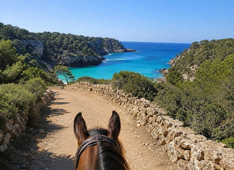 A horse's head with a coastal landscape in the background. 3
