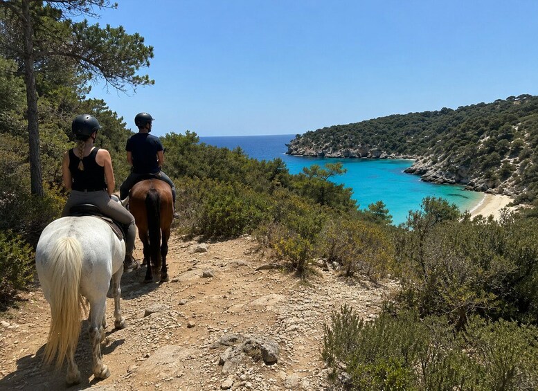 Two people horseback riding on a dirt trail overlooking a turquoise sea and a rocky coastline. 2