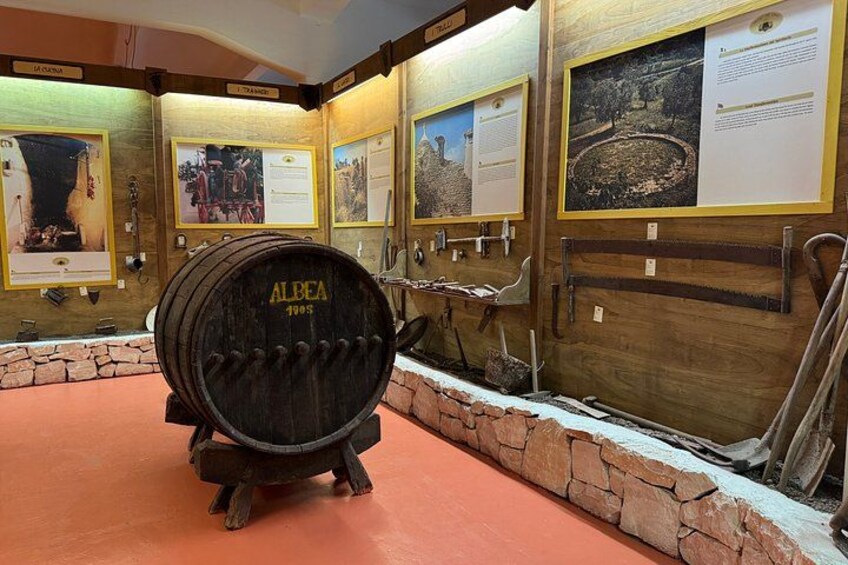 Alberobello : Wine Experience with visit to Winery and Wine Museum 4