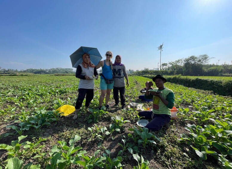 A group of people in a field with young plants, possibly a vegetable garden, under a clear sky. 2