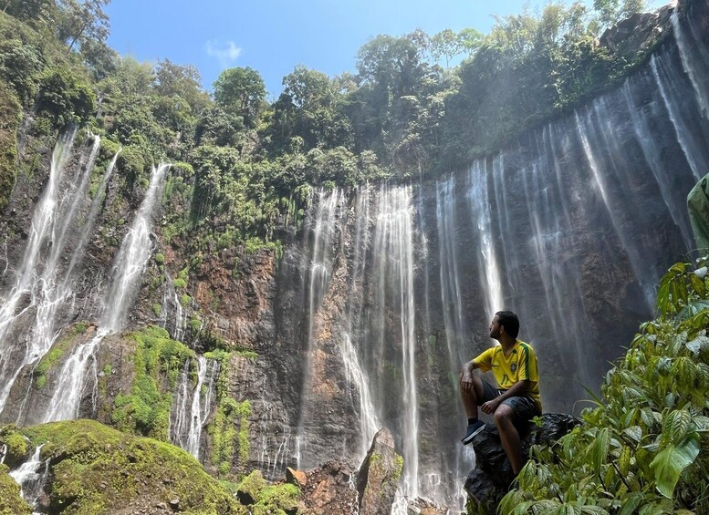 A waterfall cascading down a rocky cliff surrounded by lush greenery. 1