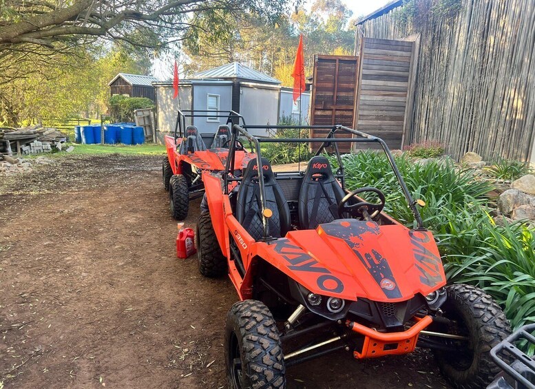 Picture 1 for Activity Capetown: Waterfall Buggy Tour for Couples with Guide 3