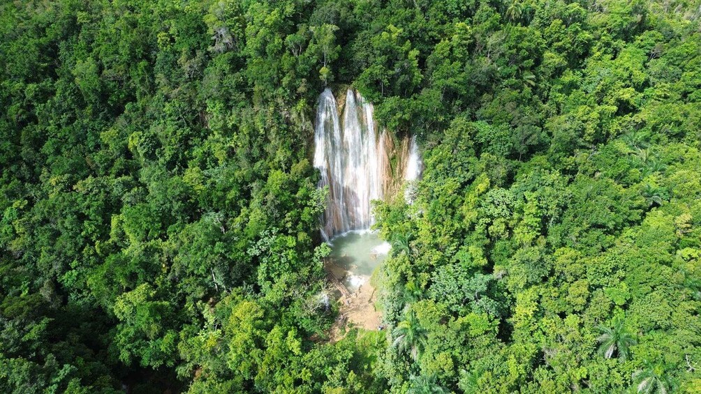 A waterfall surrounded by dense forest. 1