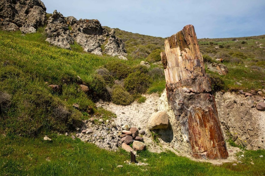 A rugged landscape with a prominent rock formation and a small stream. 1