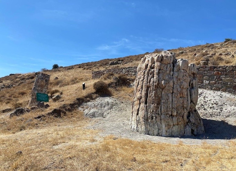 A dry grassland with a prominent rock formation and a stone wall. 1