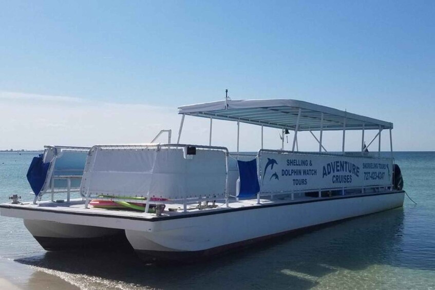 A boat with a white hull and blue seating, advertising dolphin watching tours. 2