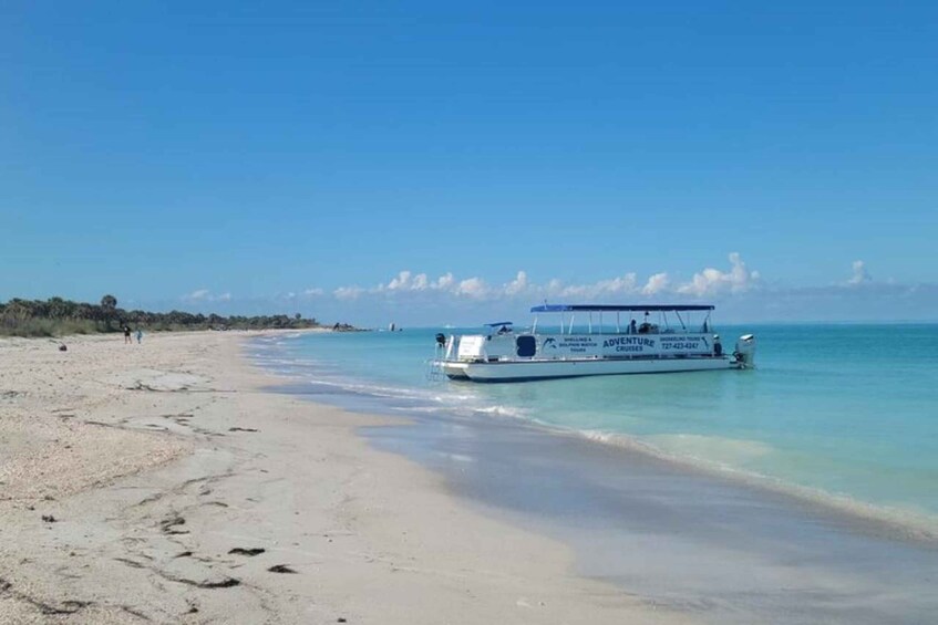 A beach with a boat named 'Adventure Cruises' anchored near the shore. 1