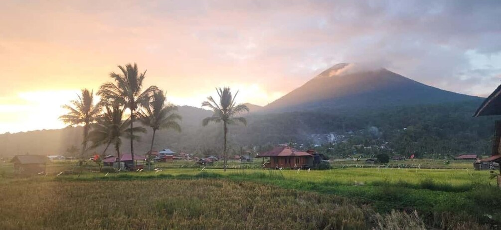 A rural landscape with a mountain, palm trees, and small houses. 5
