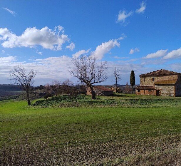 A rural landscape with a stone building, a tree, and rolling hills under a blue sky. 2