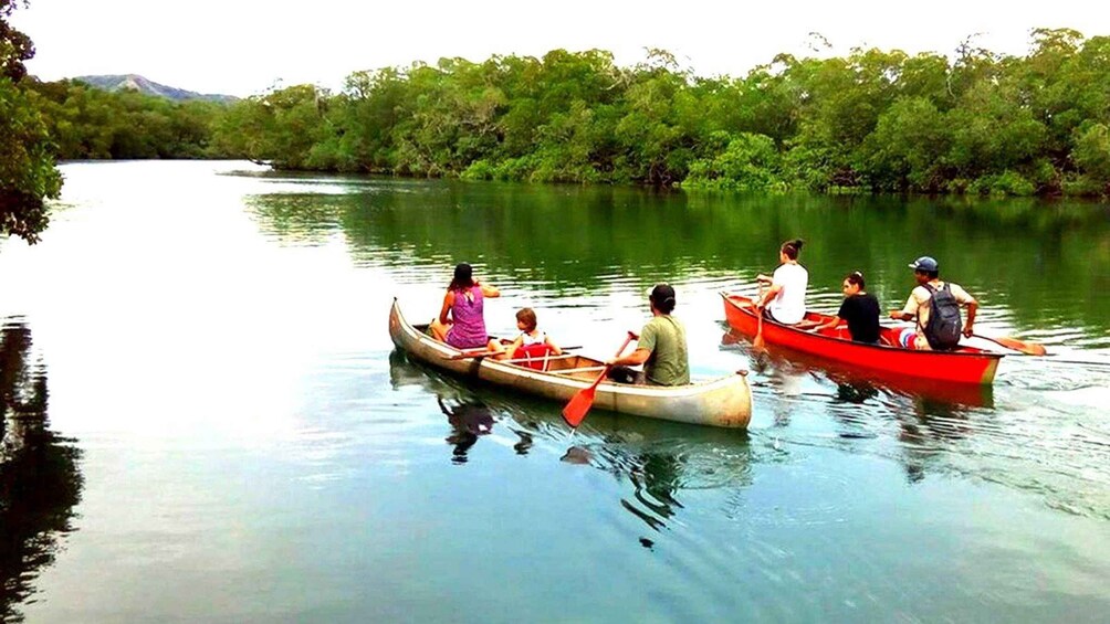 Two canoes on a calm river surrounded by dense greenery. 1