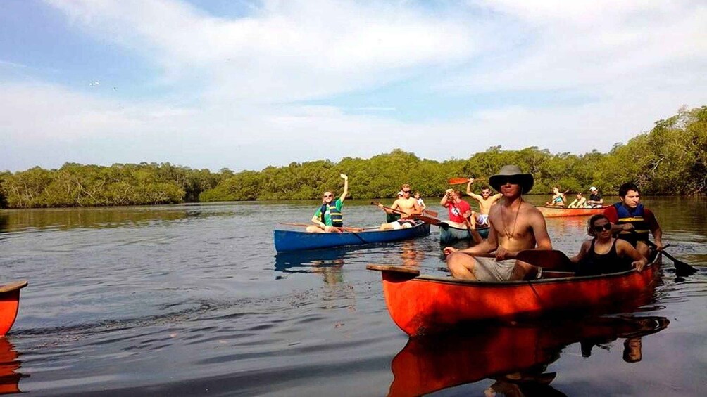 People in canoes on a calm river surrounded by dense greenery. 3