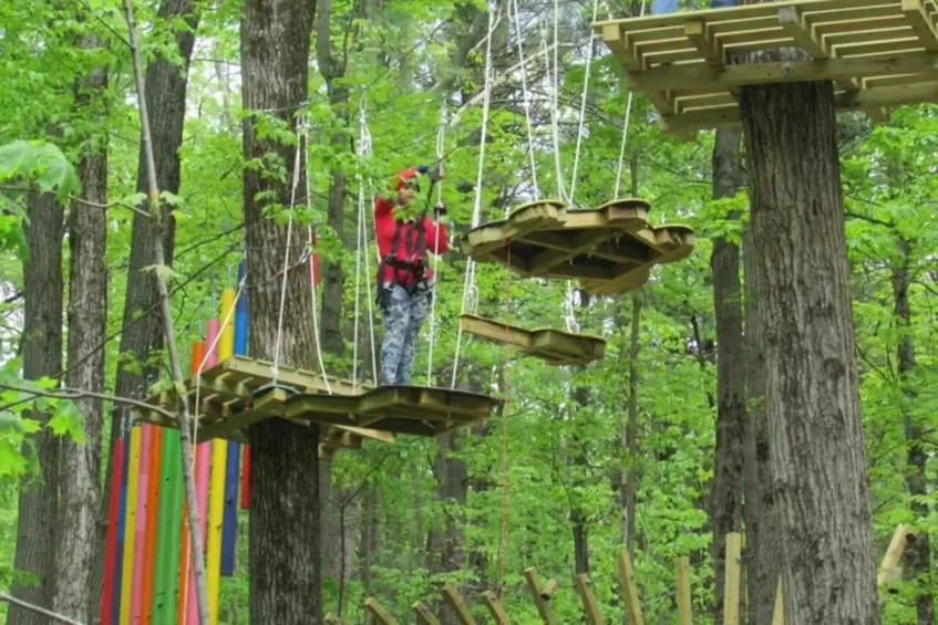 A person on a suspended wooden structure in a forest. 3