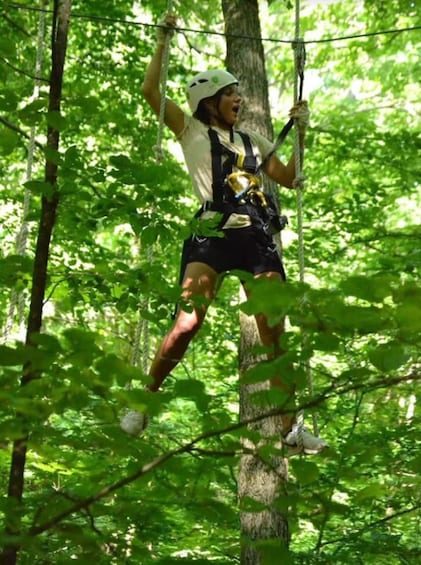 A person on a zip line in a forest. 1