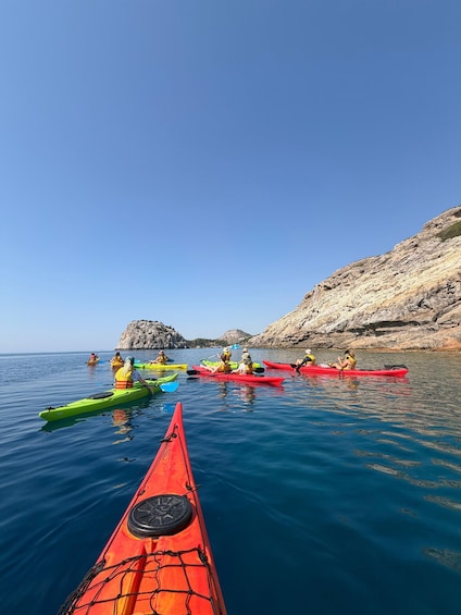 A group of kayakers in a calm sea with rocky cliffs in the background. 1