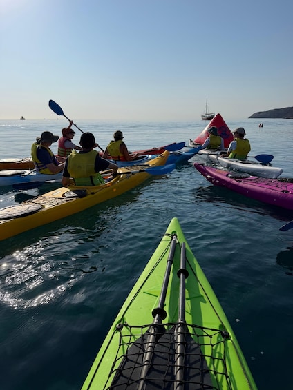A group of people kayaking on a calm body of water with a clear sky. 3