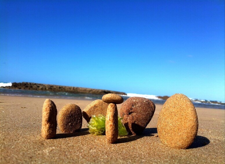Smooth pebbles and a green seaweed on a sandy beach with a clear blue sky and ocean waves in the background. 3