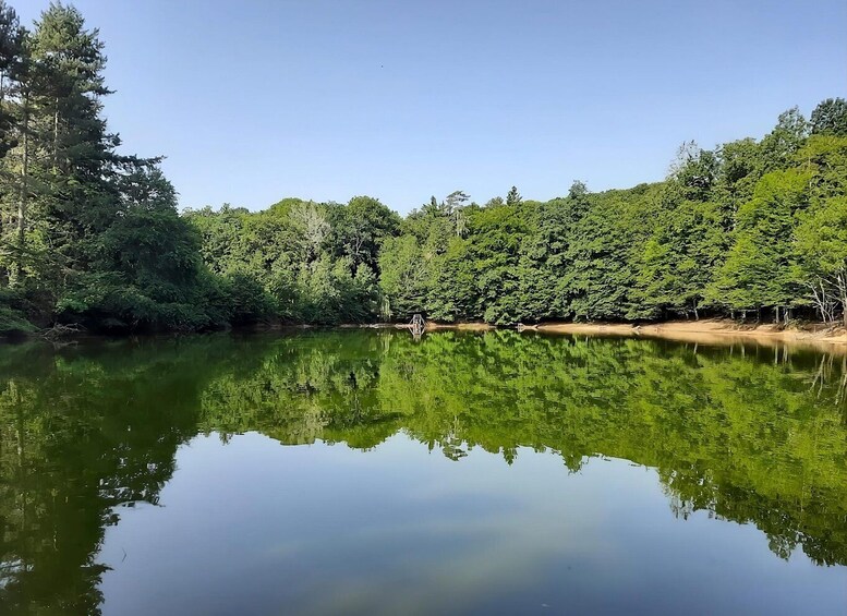 A calm lake surrounded by dense forest. 1